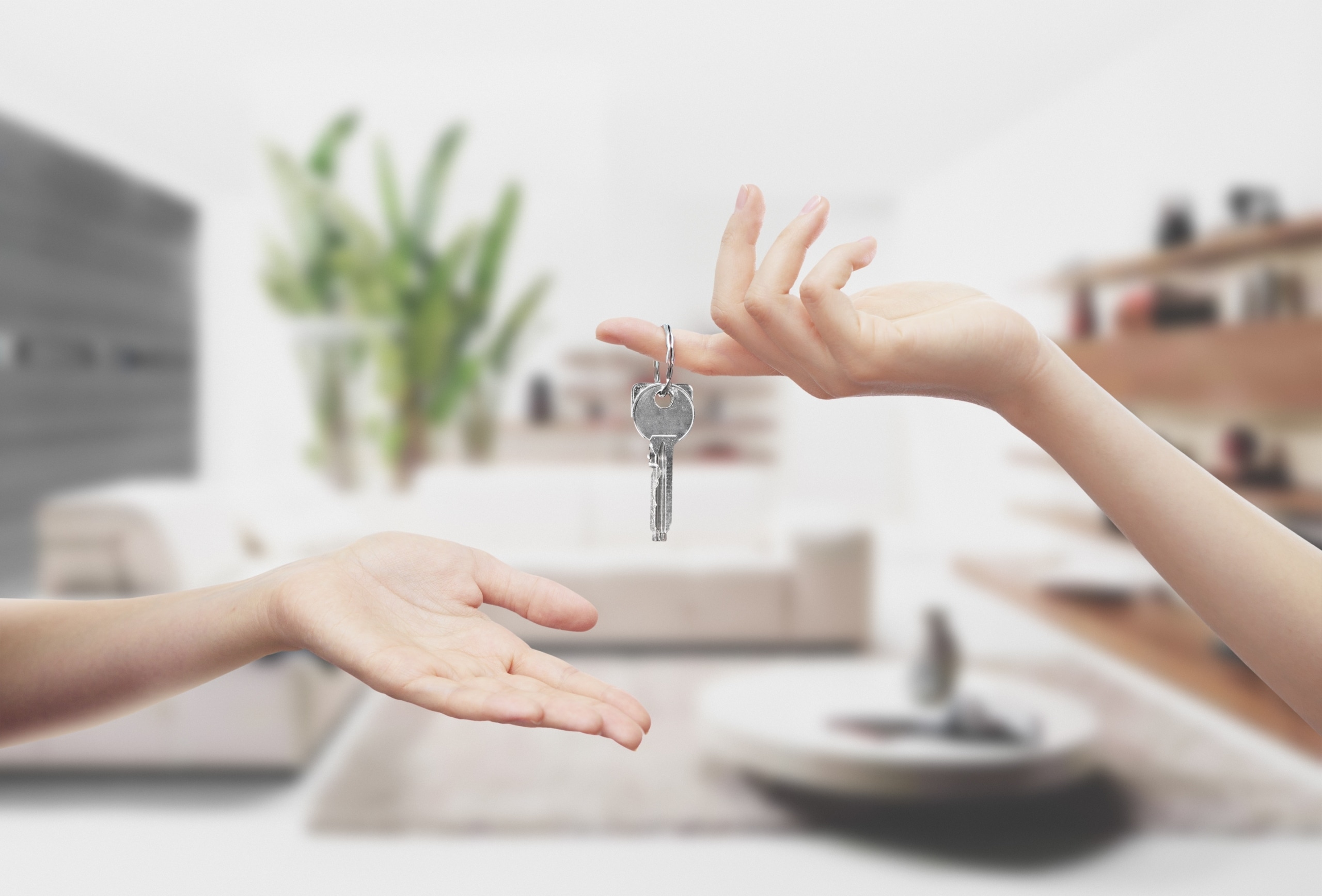 Offering Asking Price: Is This Offer Competitive In The Current Market?